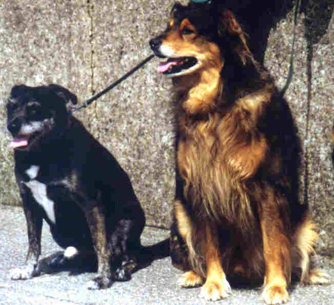 Pubo und sein Freund